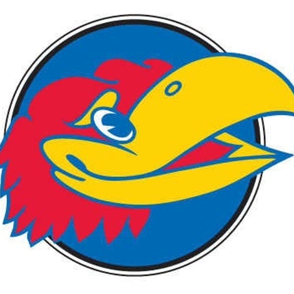 Jay Hawk