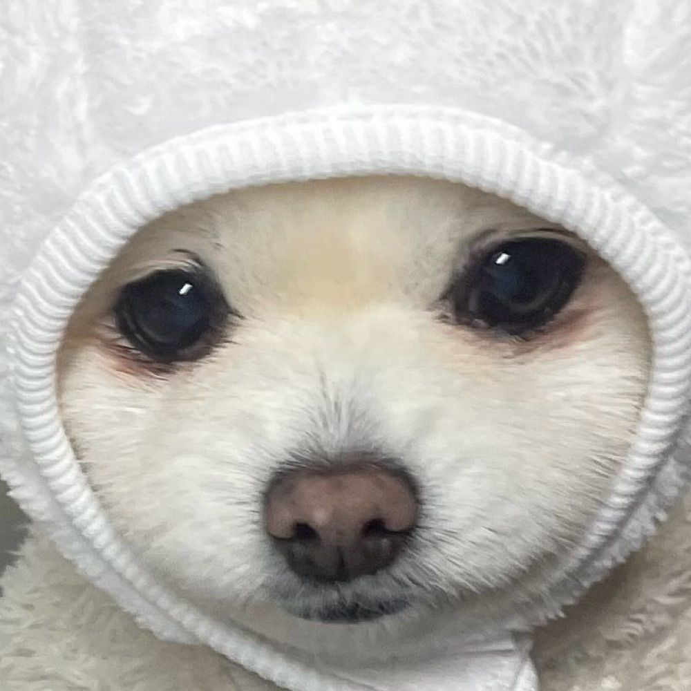 앨리스 라스트네임