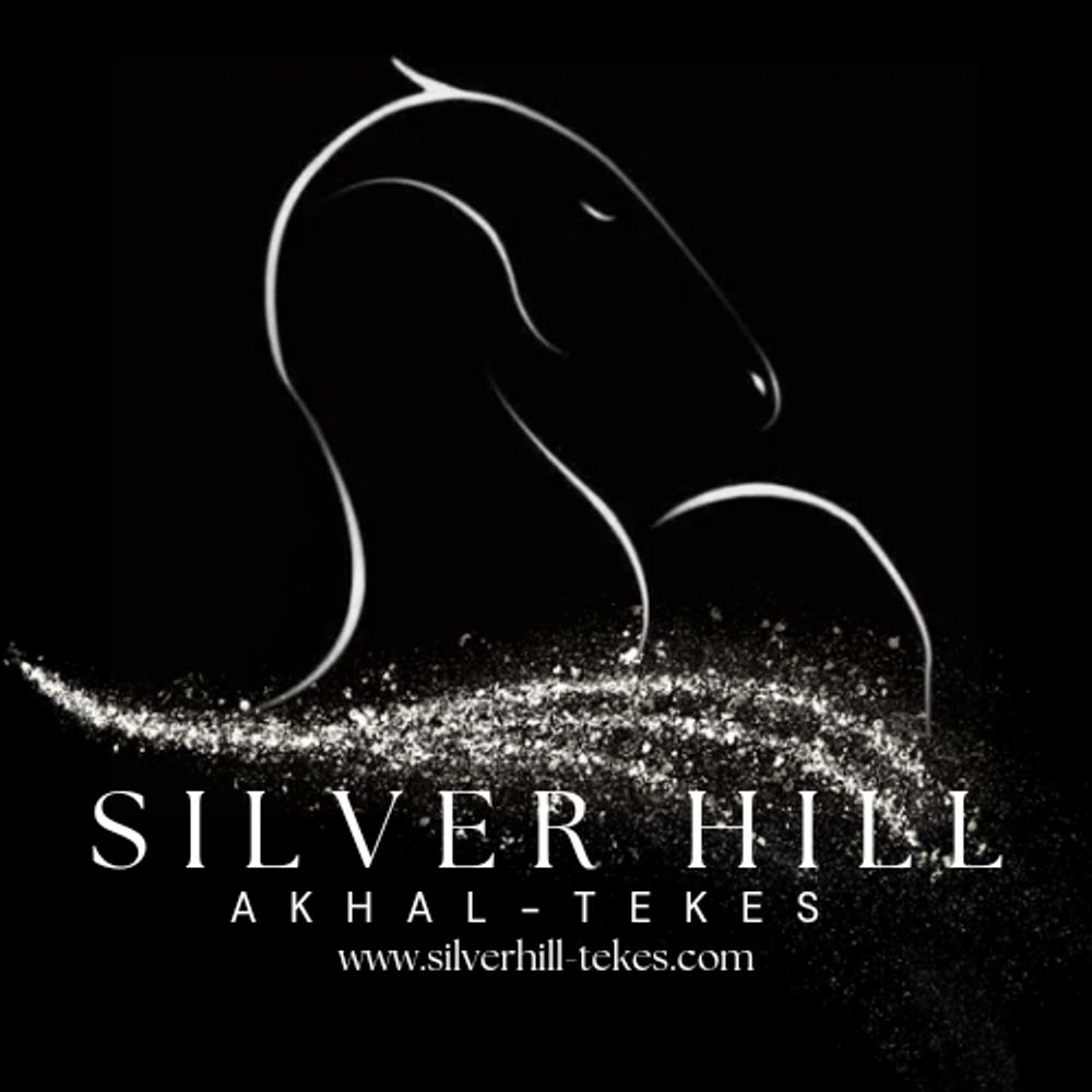 Silver Hill Akhal-Tekes 