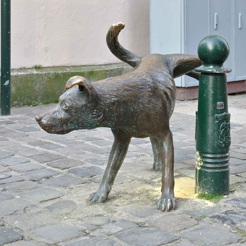 Thibault Jacobs