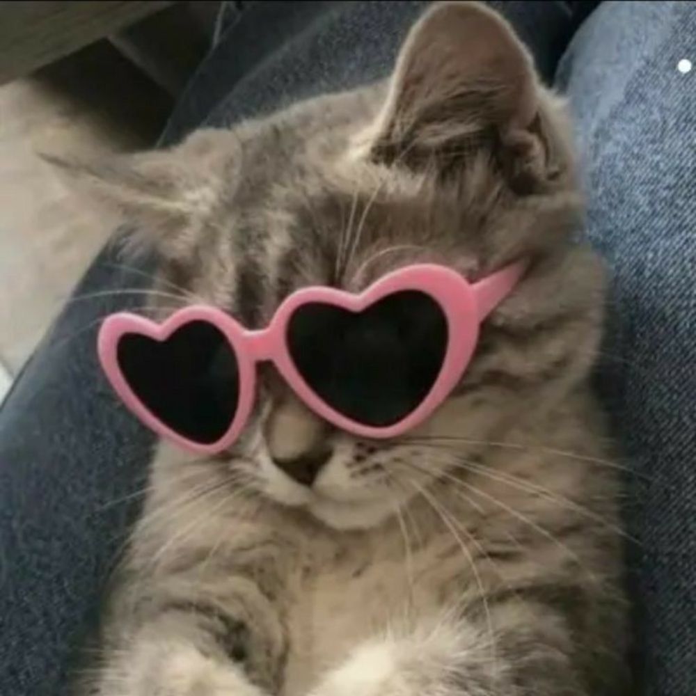 💋.