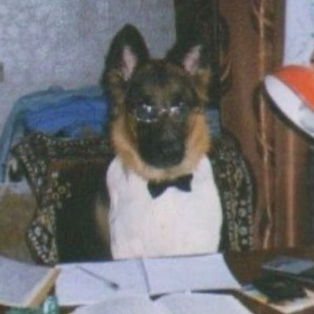 Dodot