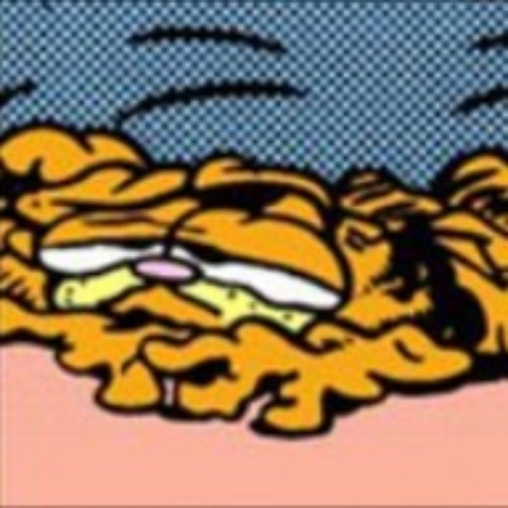 Federicon't