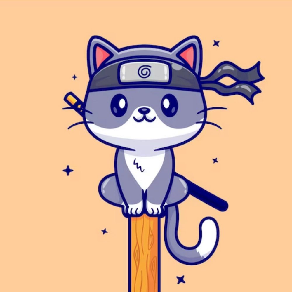 Ninja Kat