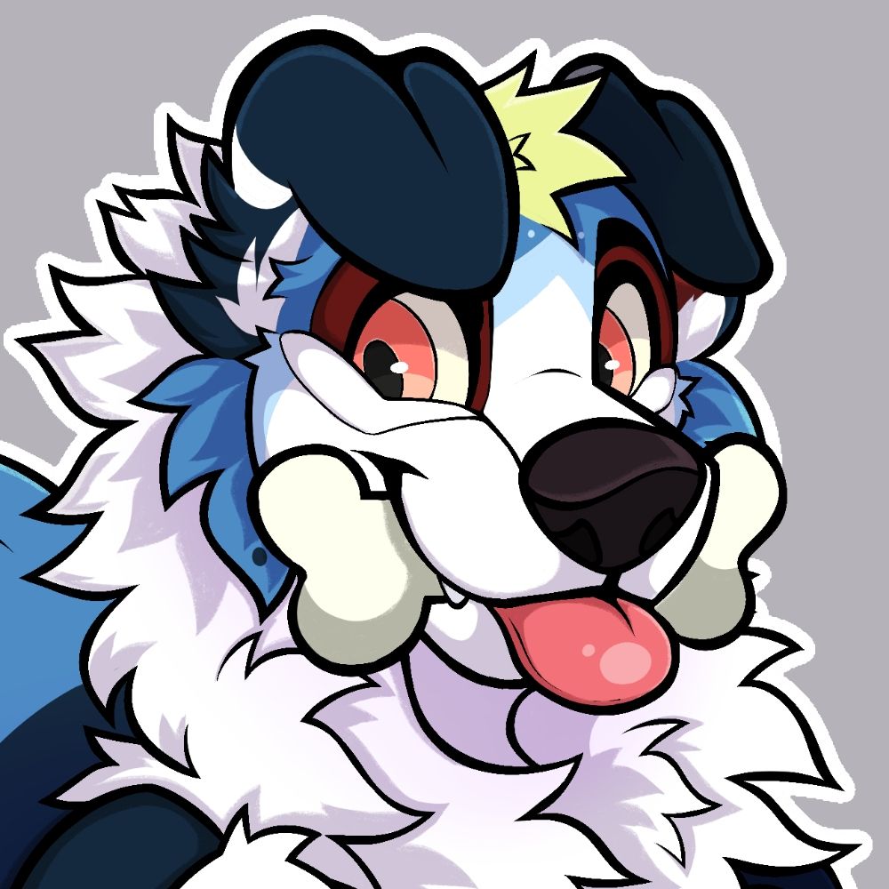 Zapp FoxCollie 🔜 FWA
