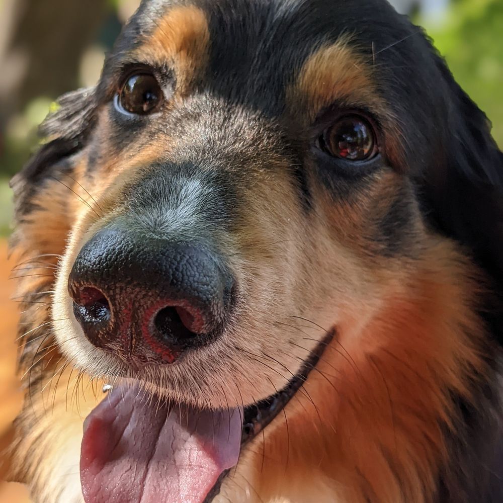 Tobi 