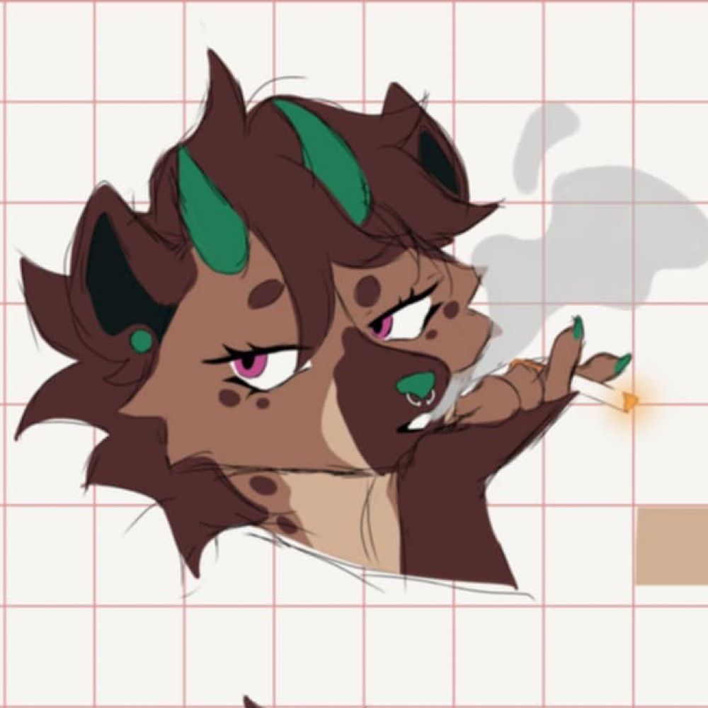 💚🖤Jingo🖤💚