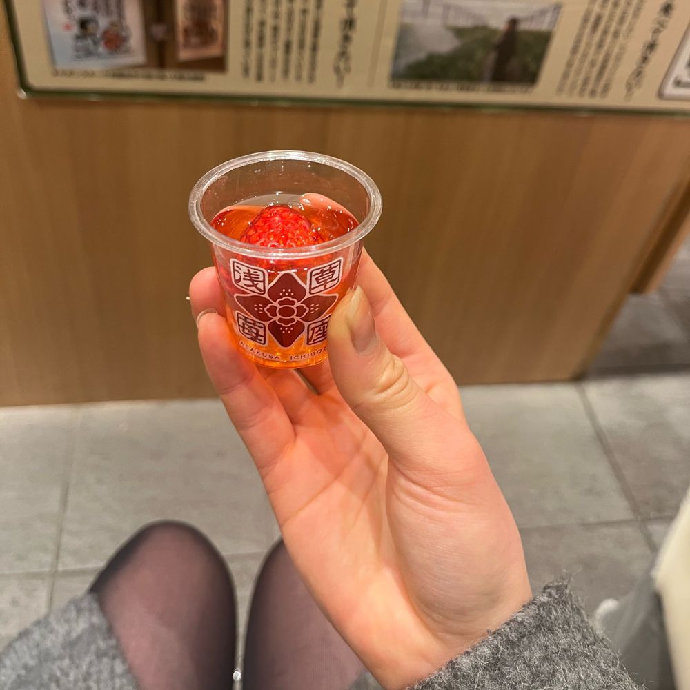 ほうそうになりたい‼️