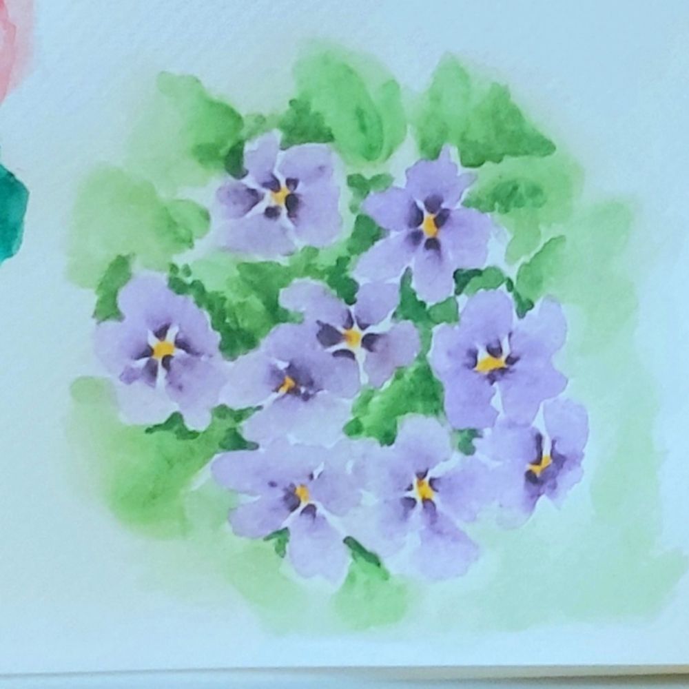 Aurora Violeta 