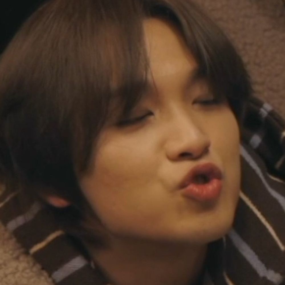 zie ʕ •ₒ• ʔ