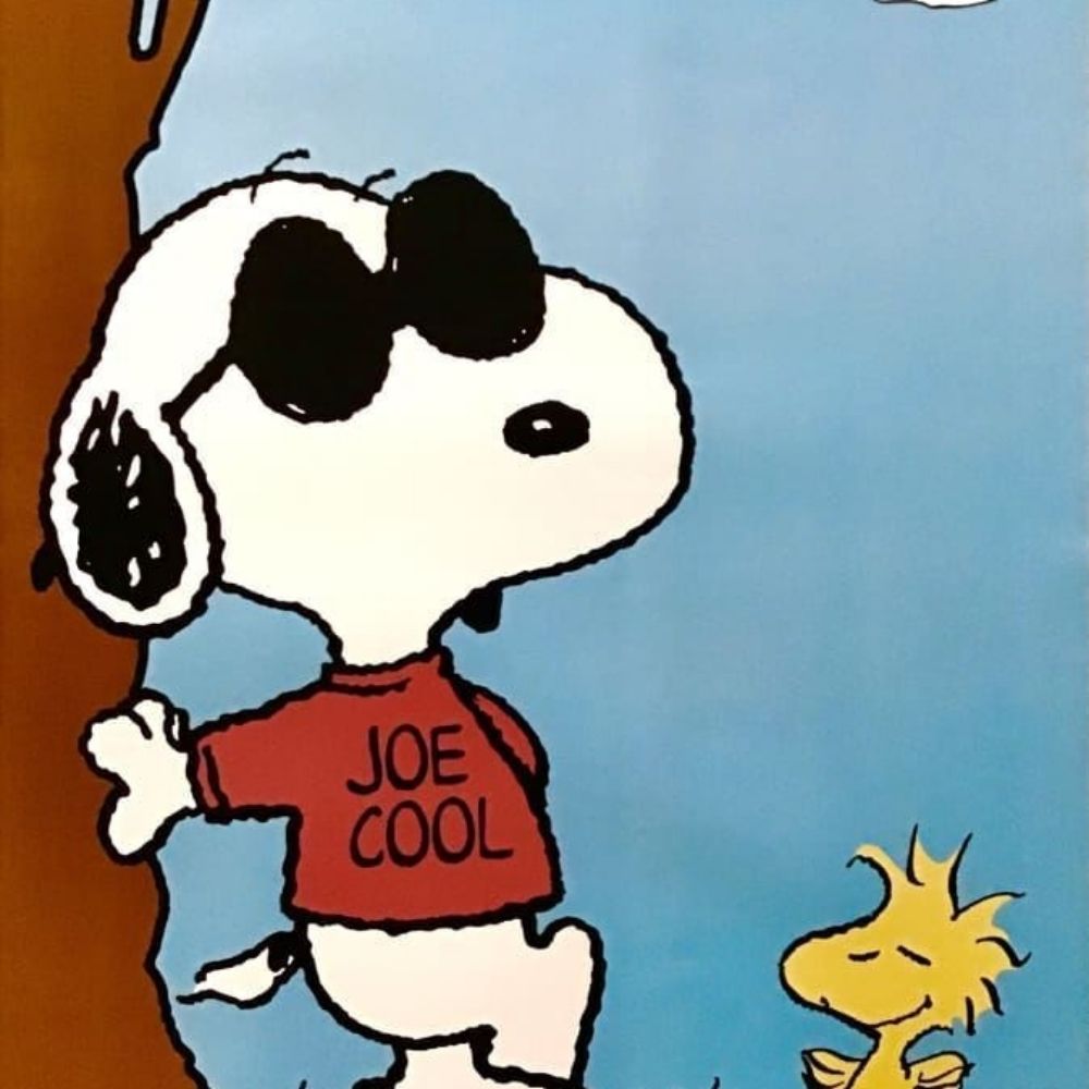 Joe Cool