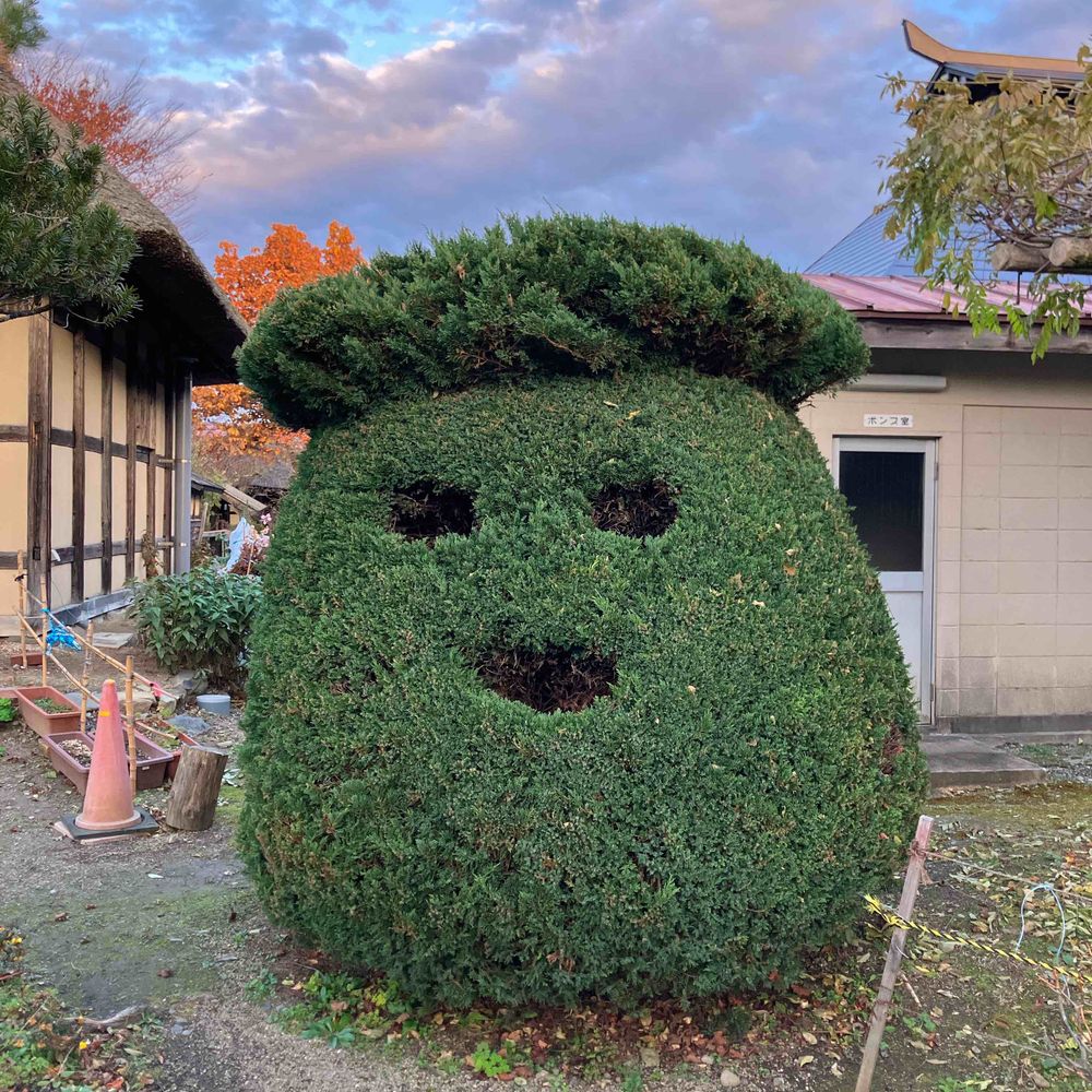 藏