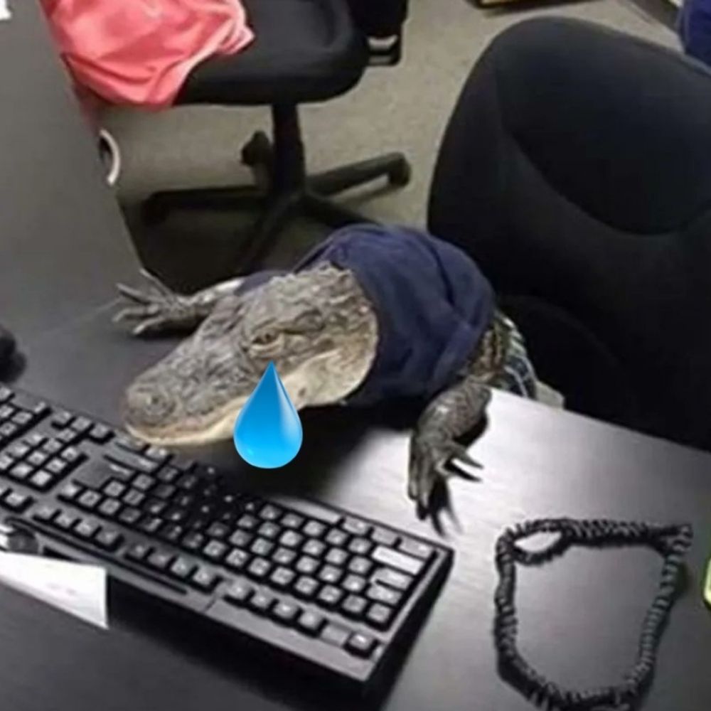 이장
