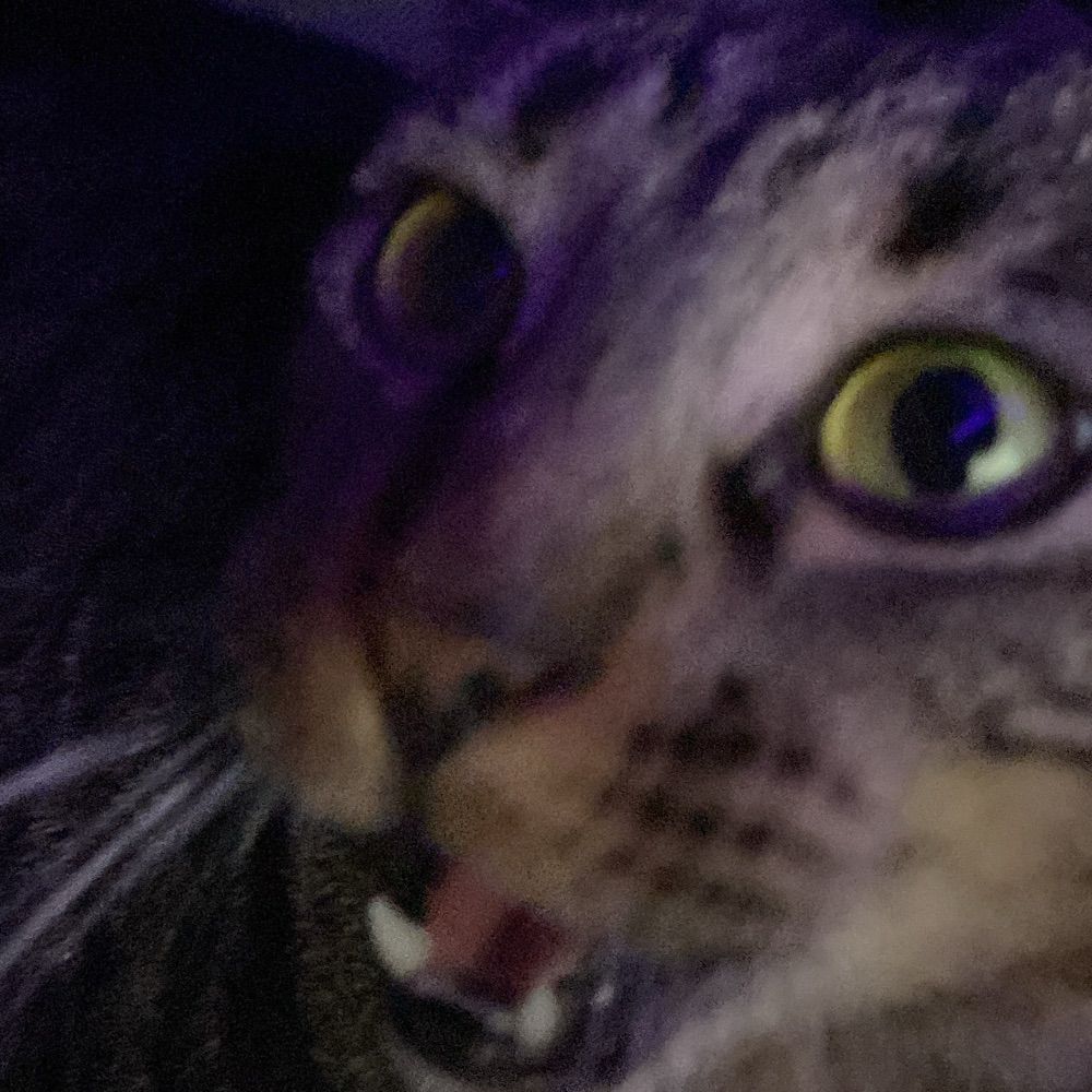 Faervagus