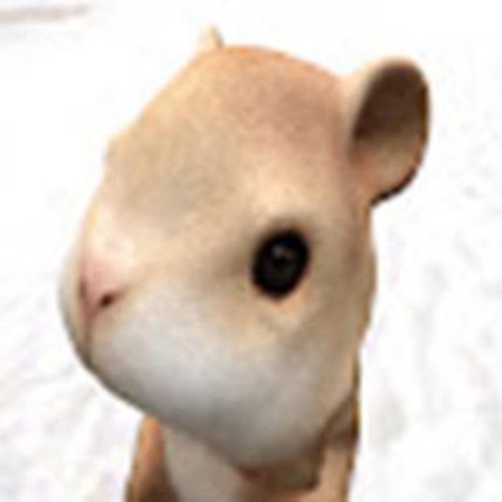teddy Dragoone