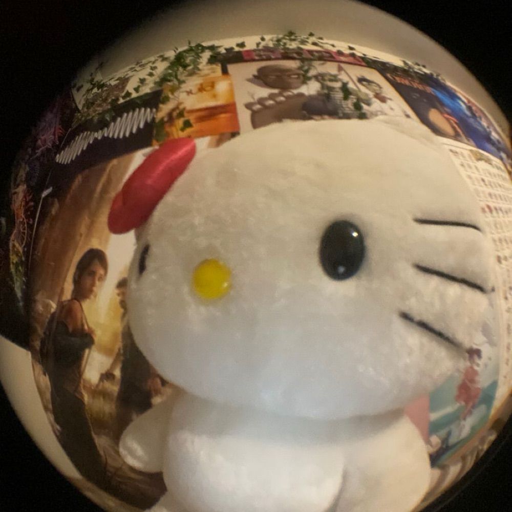 박도비