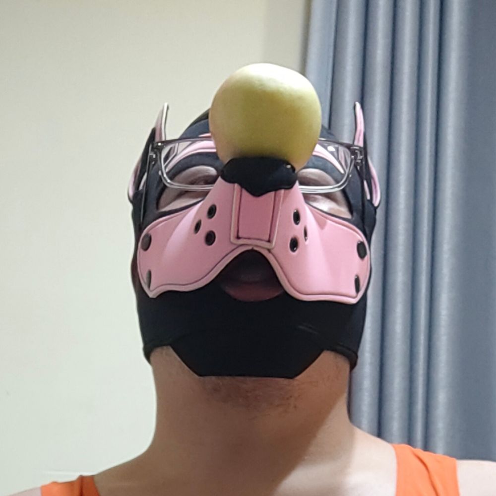 狗宝汪汪