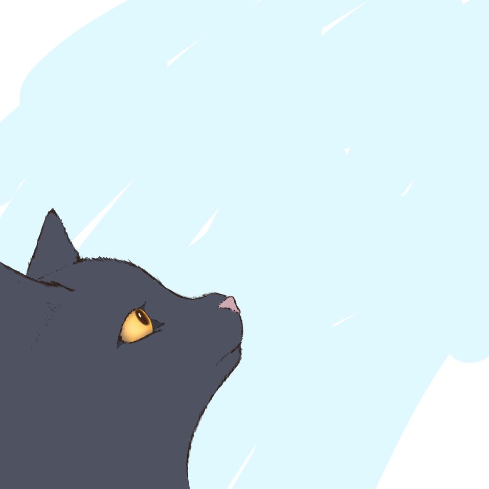黒い白猫