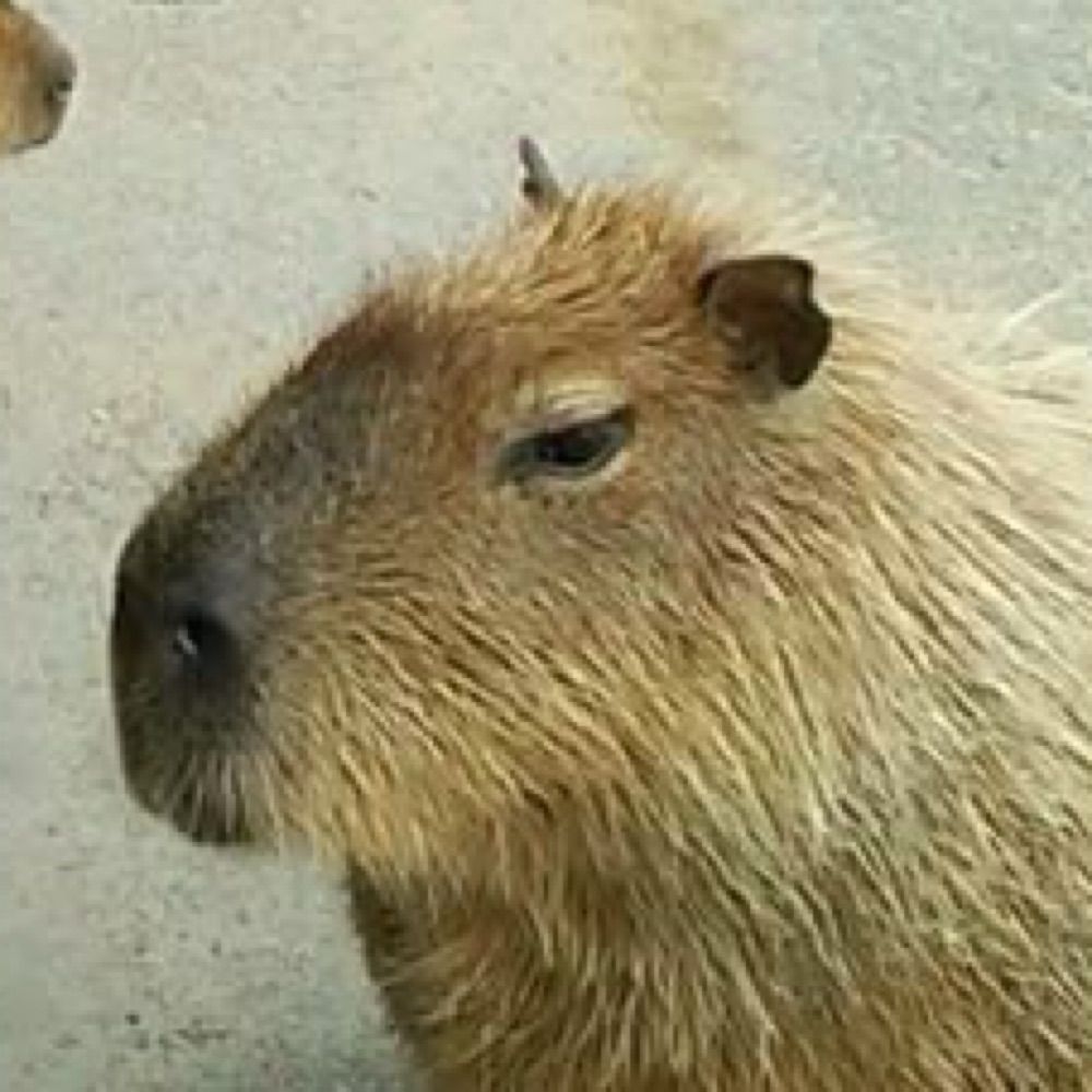 지강별