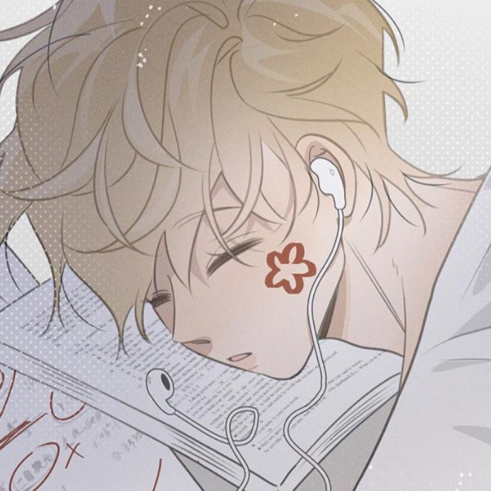 🪽 yangyang 