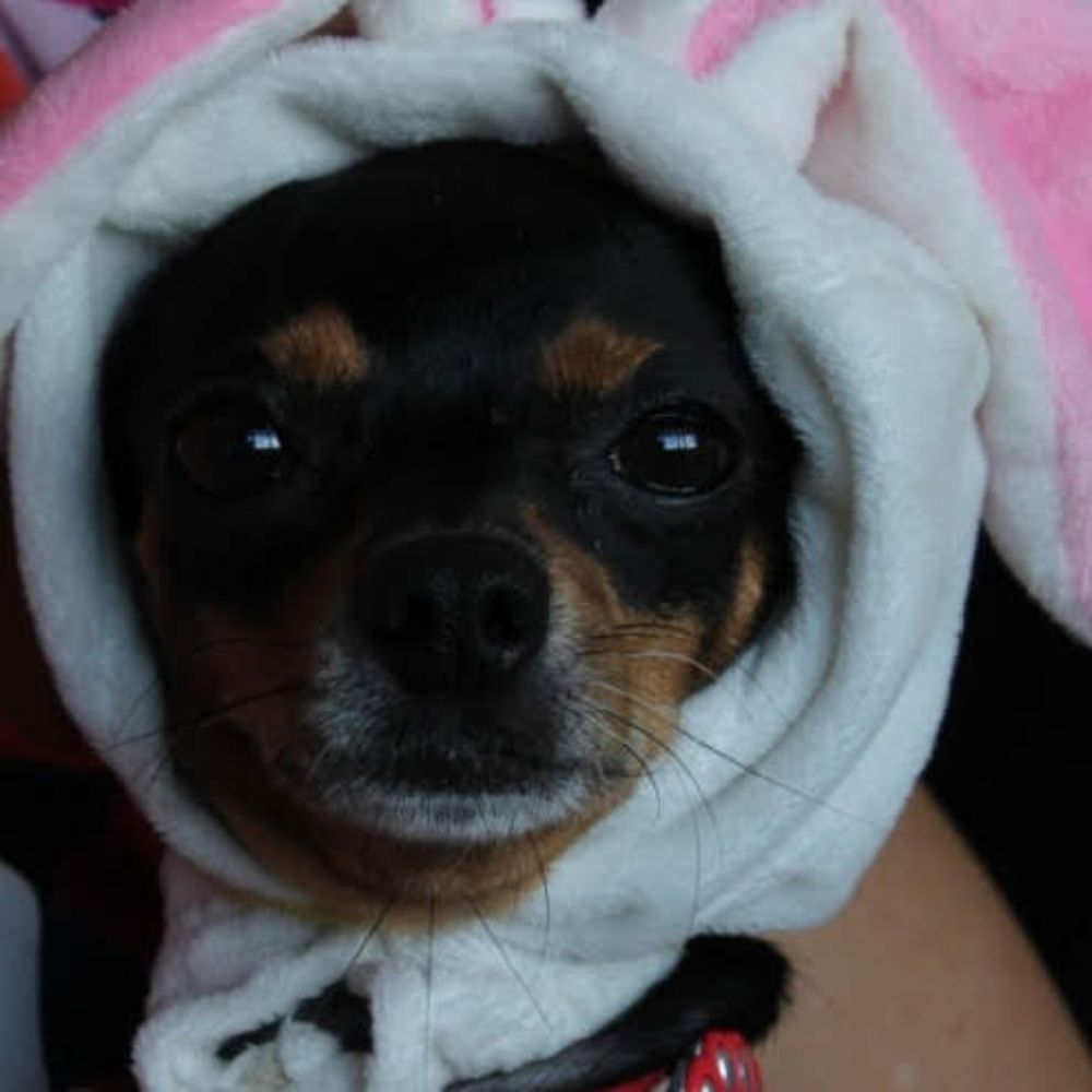 Tsuki 