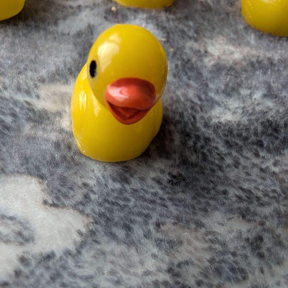 Democracy Duck