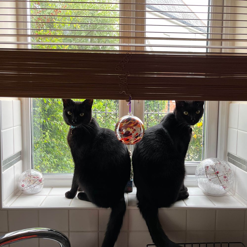 Leta and Lally