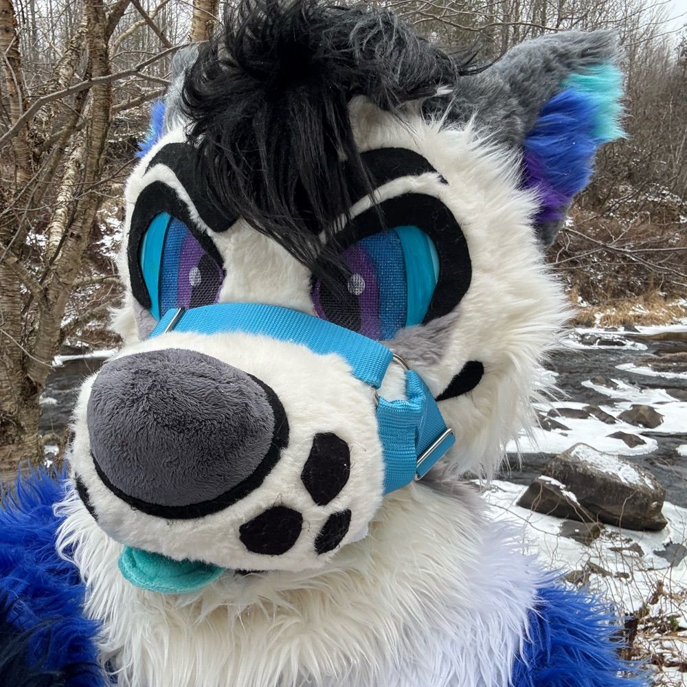 That 360 Furry