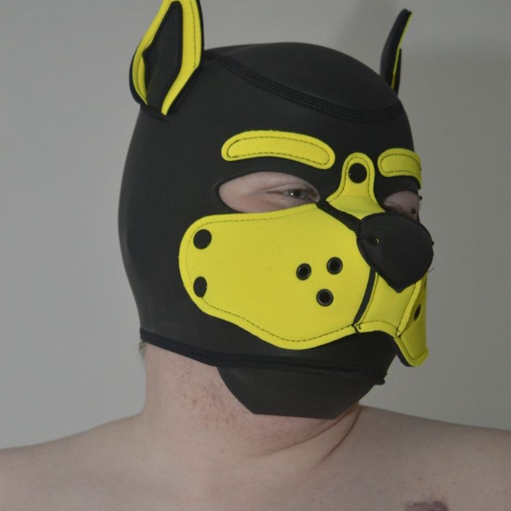 Pup Grimoire