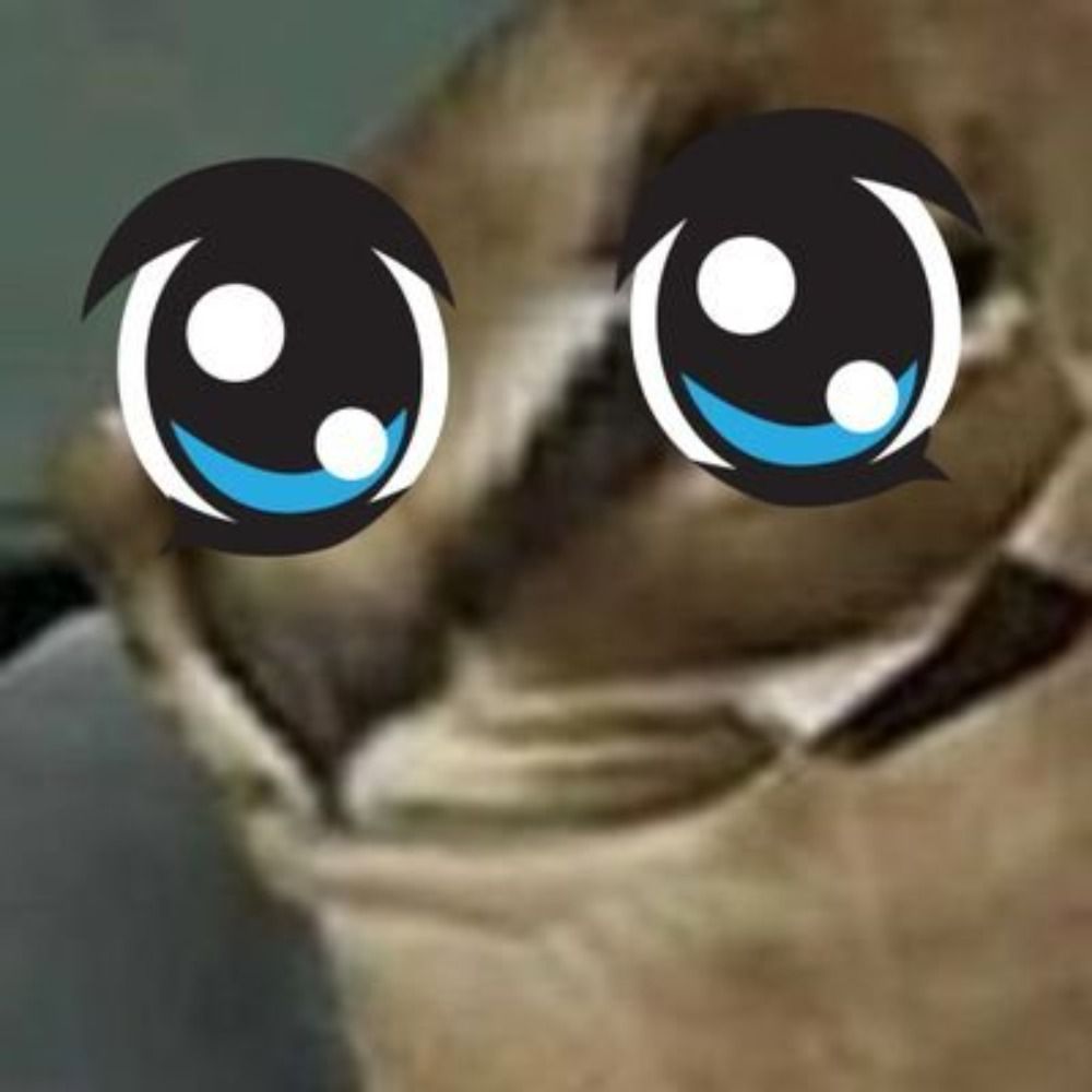 집