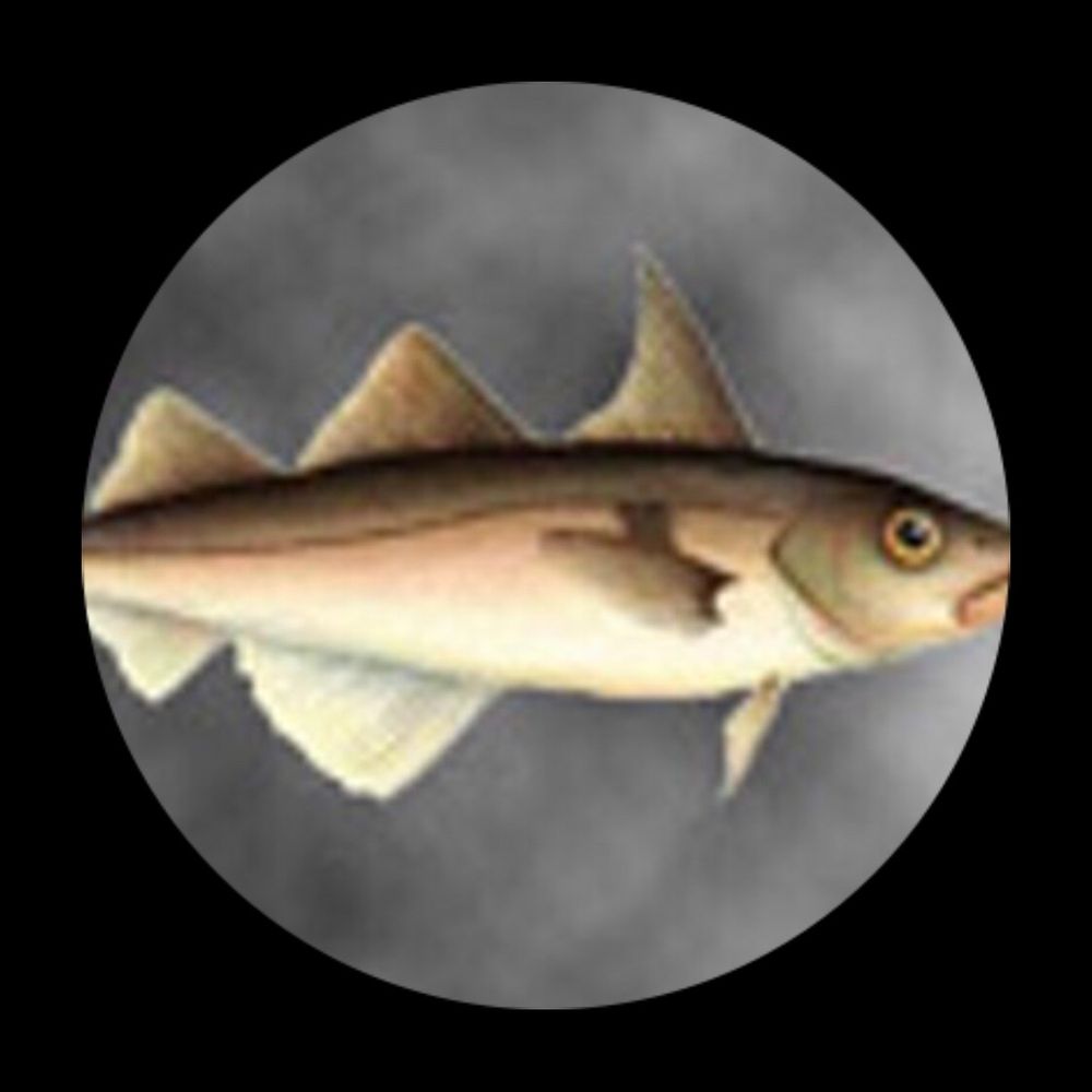 Finnan Haddie's avatar