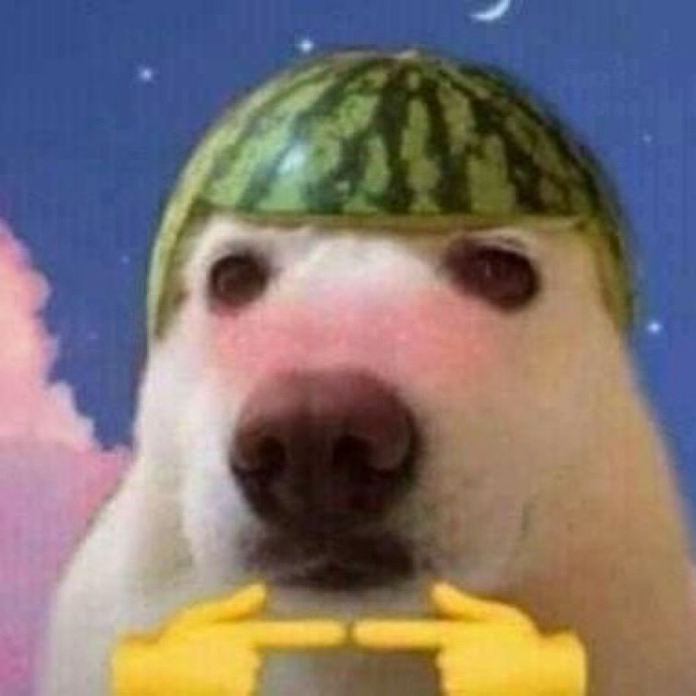이놈아줌마