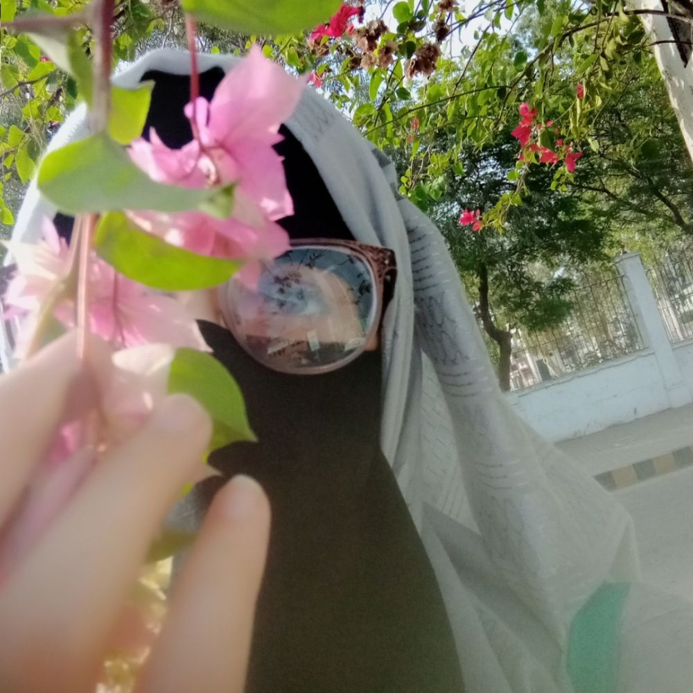 ھدھد
