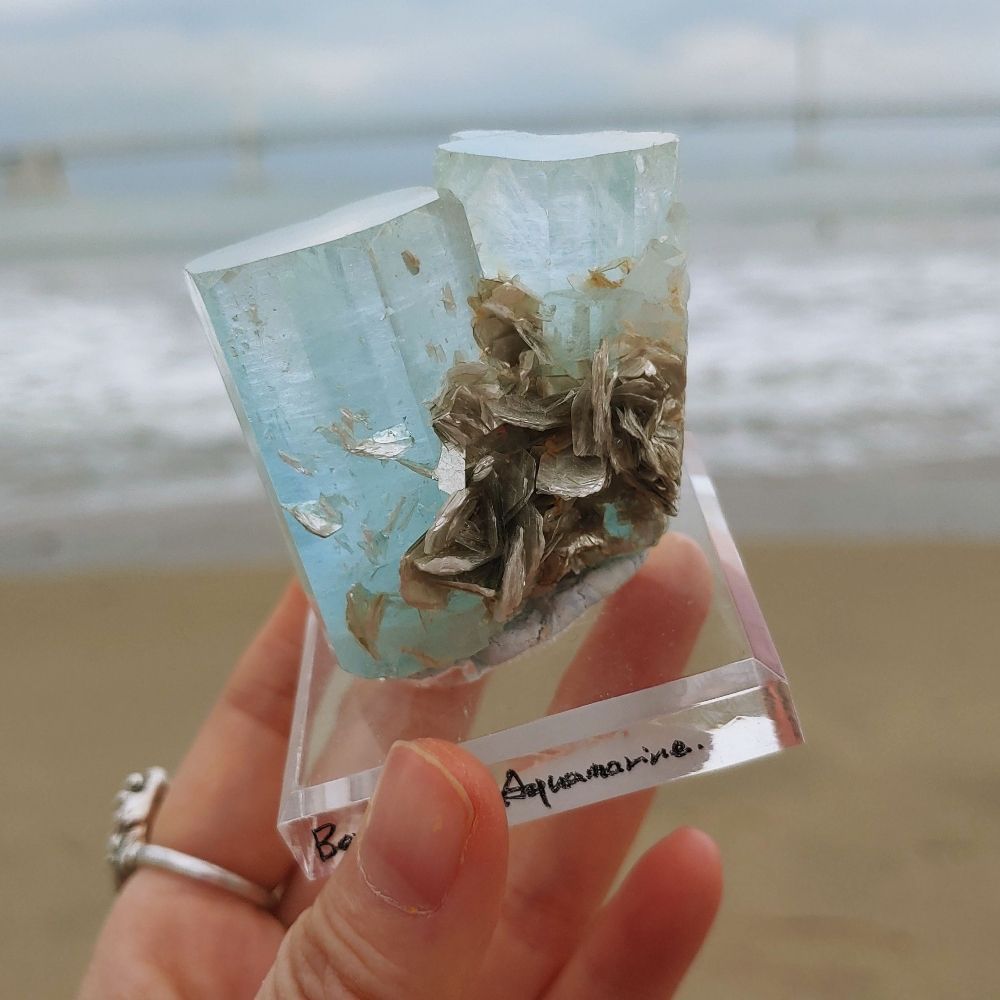 애완돌 키우는 T.