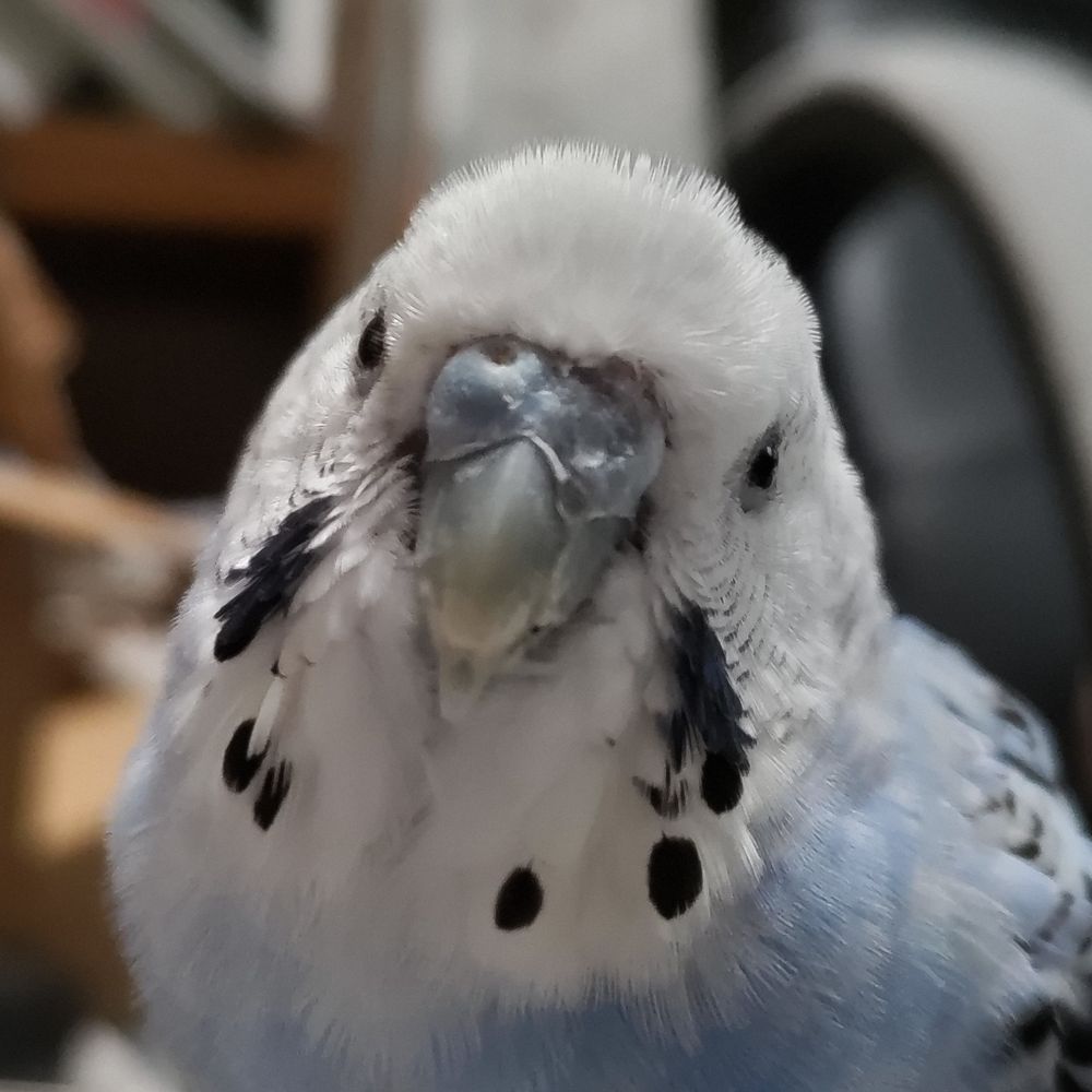 ひかりともこ