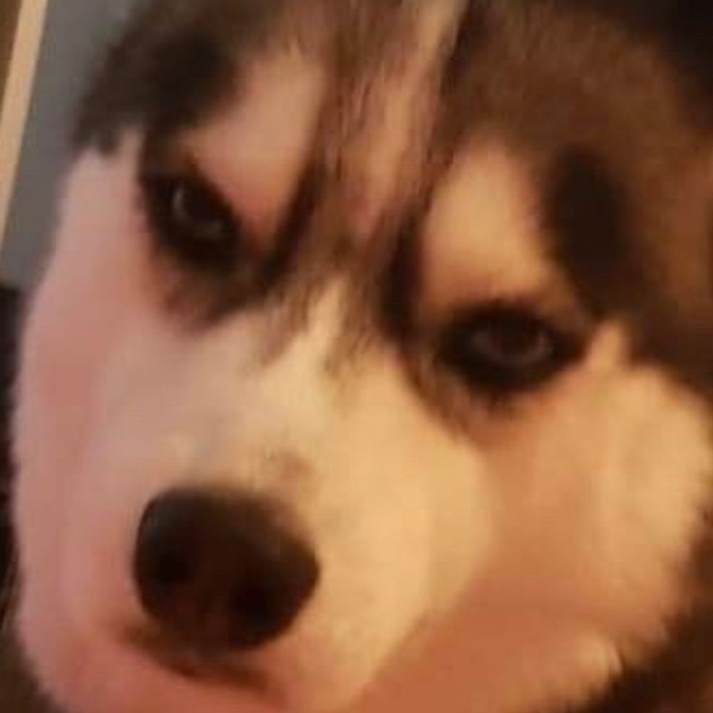 Sophie