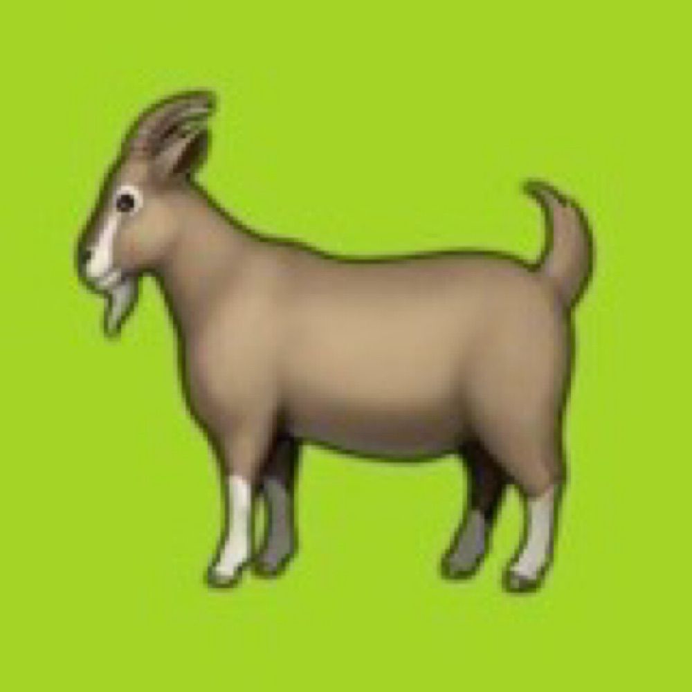 Tiny Petting Zoo