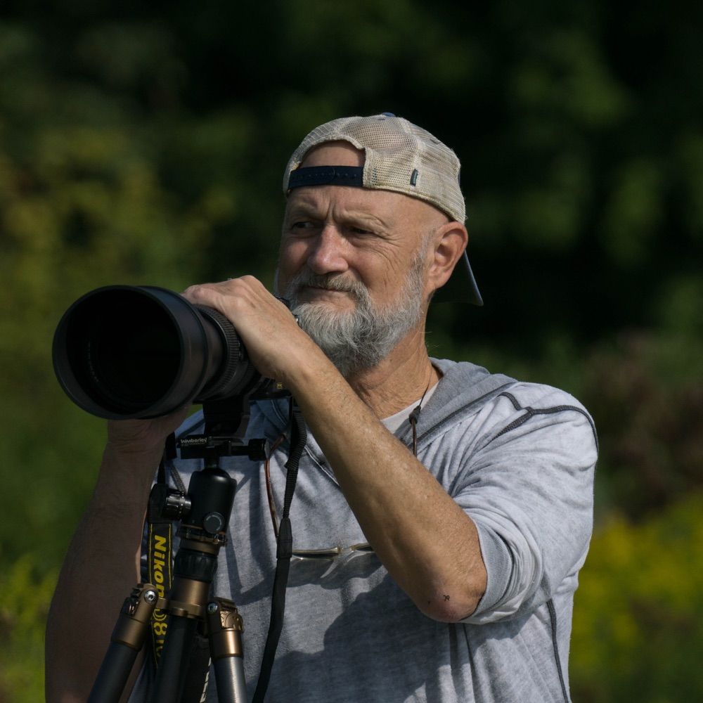 Dave Wooldridge