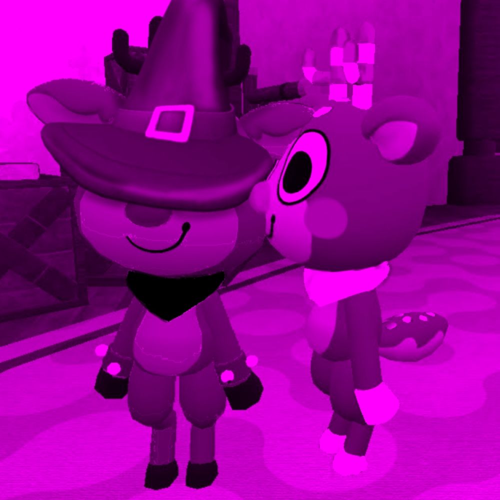 Y