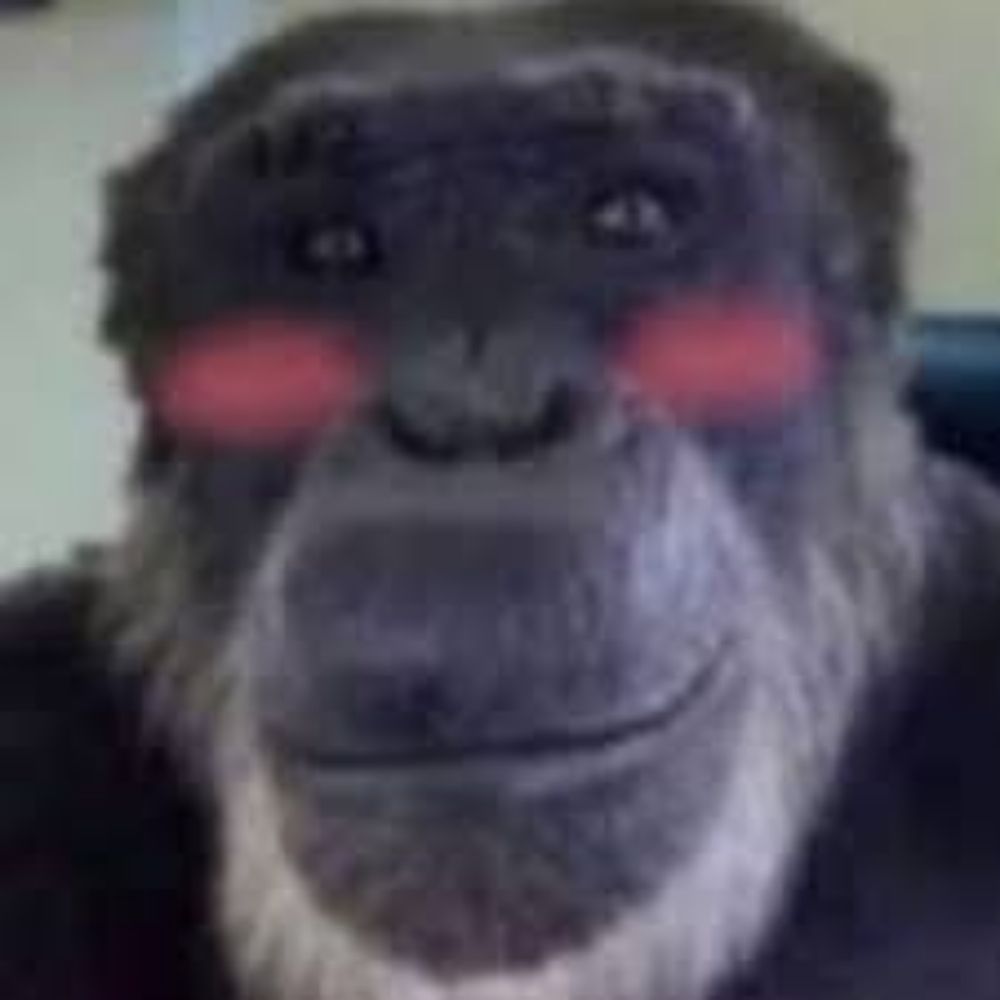Dav