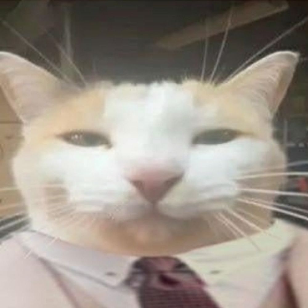 rinsa
