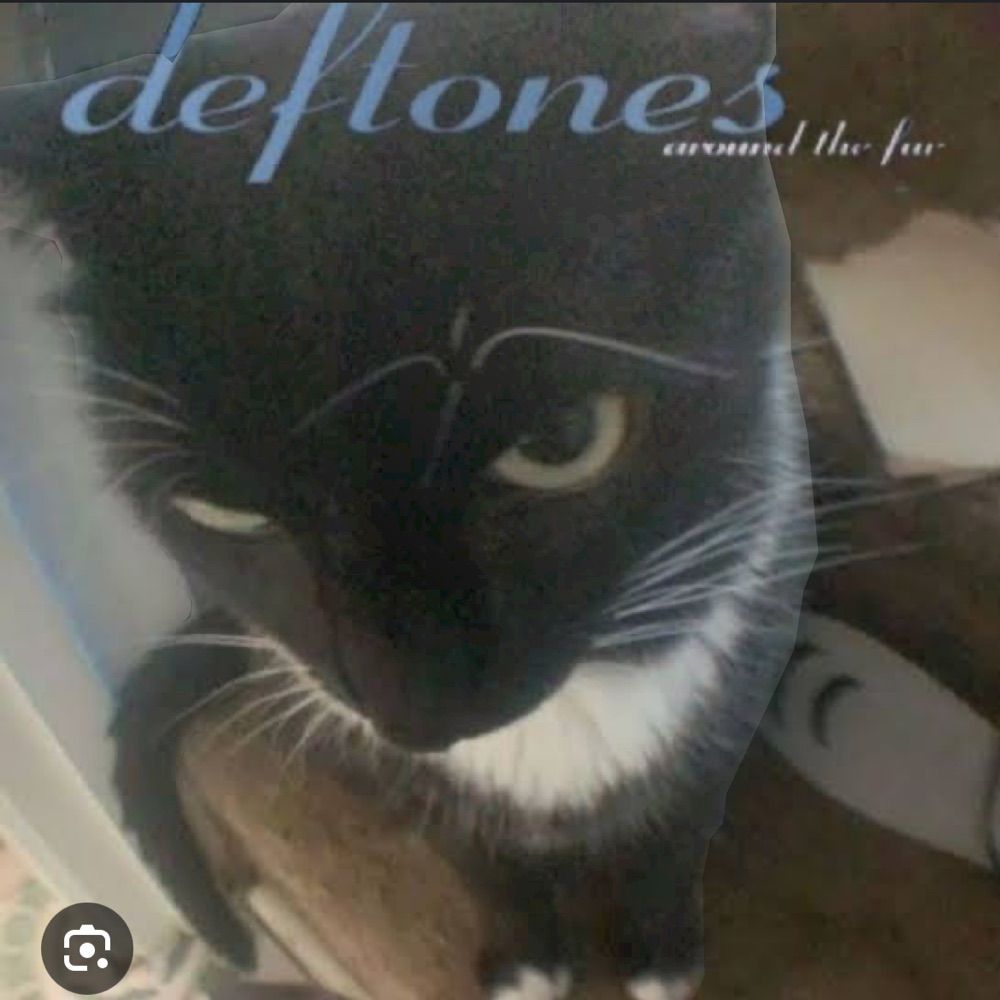 jhonny west 