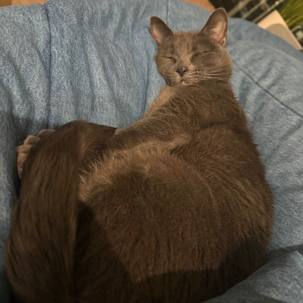 B.