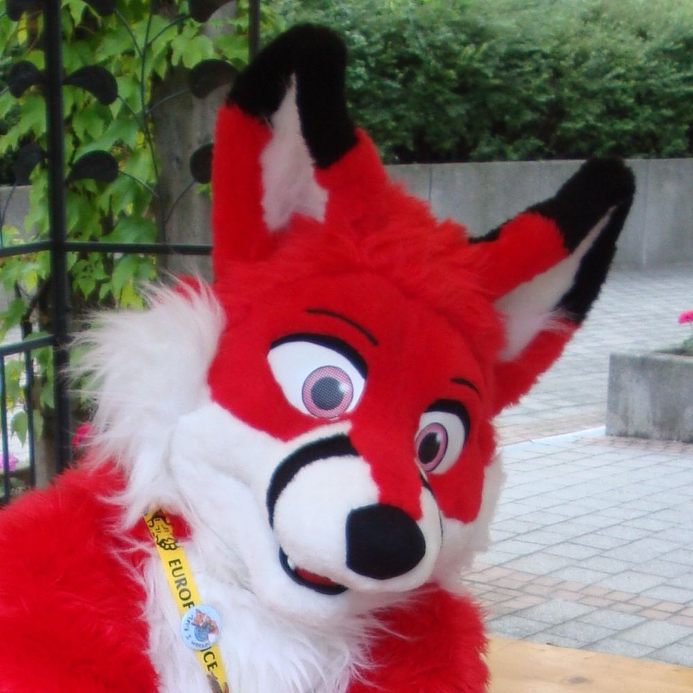 Nanakifuchs 