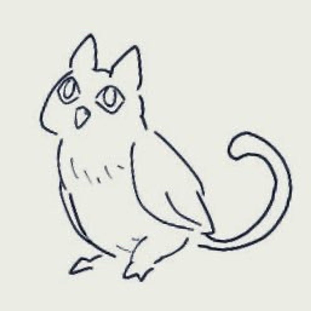 猫鳥