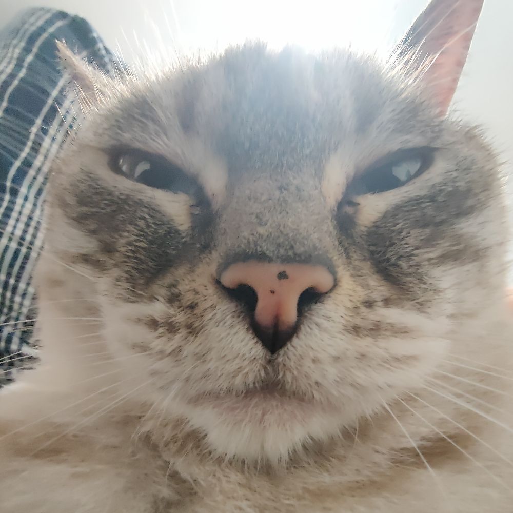 Pablo