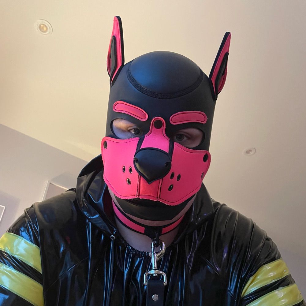 pup phoria 🩷🐶