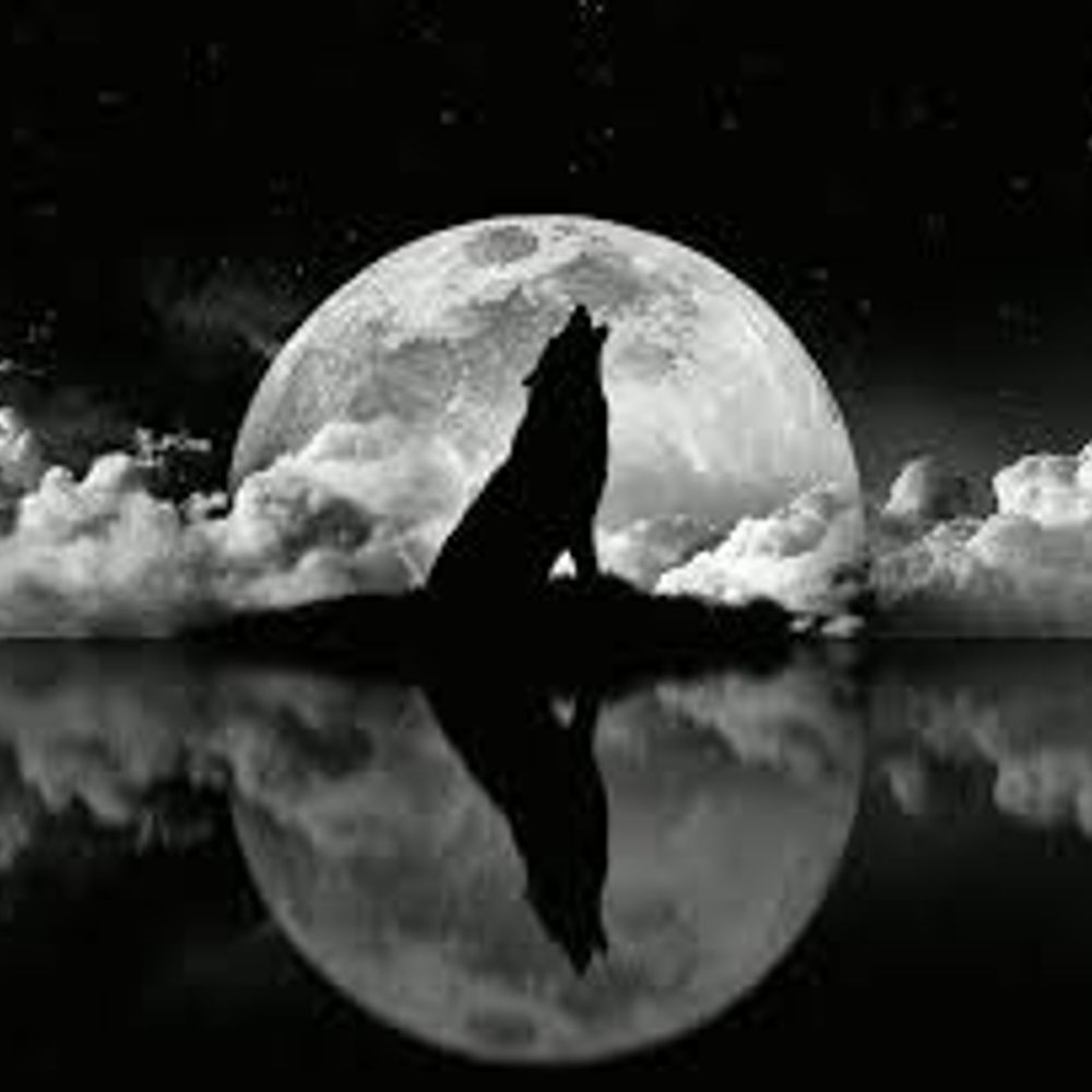 Moonshaadow