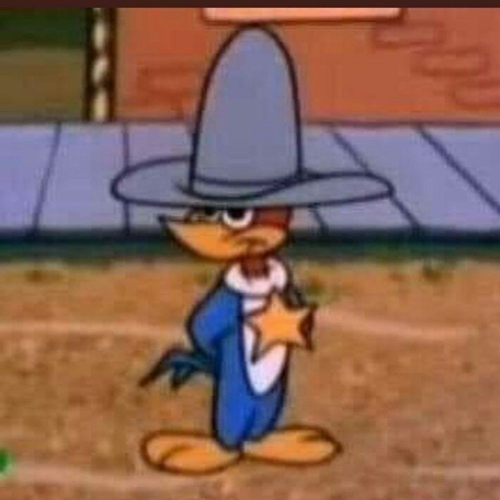 piloto de onze de setembro 