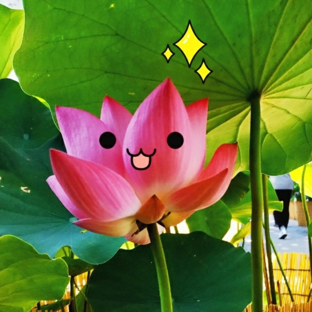 살 려🌟